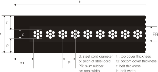 Stahlschnur-Förderband-Standards